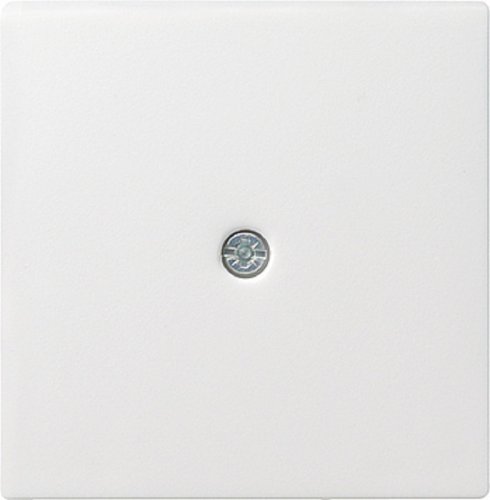 Лицевая панель Gira System55 для ввода кабеля белый матовый фото Лицевая панель Gira System55 для ввода кабеля белый матовый картинка